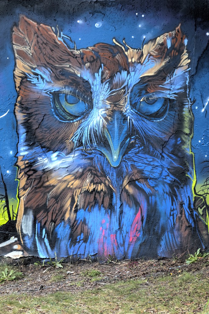 graffiti eindhoven hdr urbex art kunst kunstwerk mural murals berenkuil straatkunst